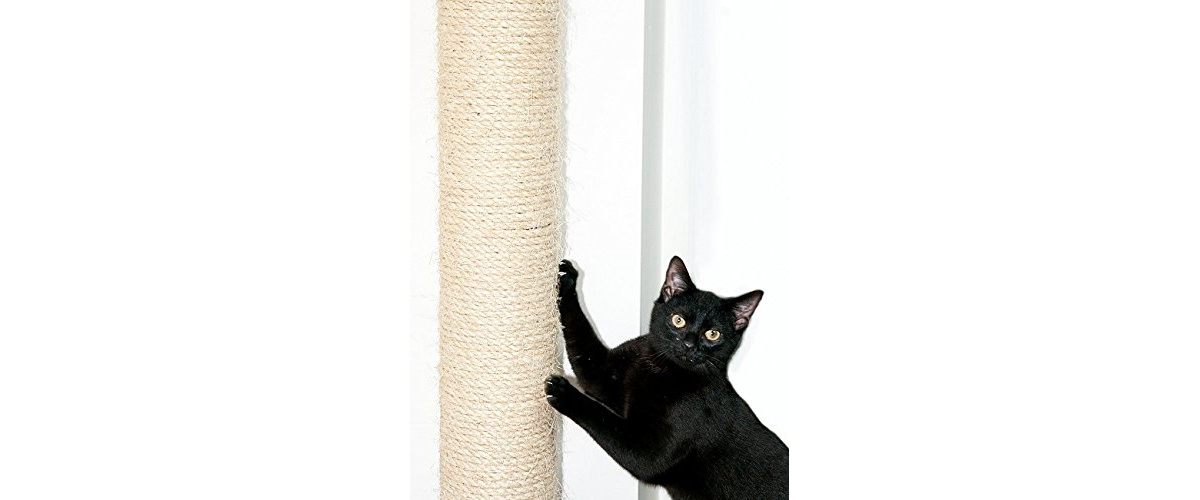 Review Wall Mounted Cat Scratching Post PetToy.co.uk