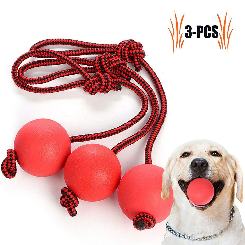 The Best Dog Rope Toy Reviews (2019)