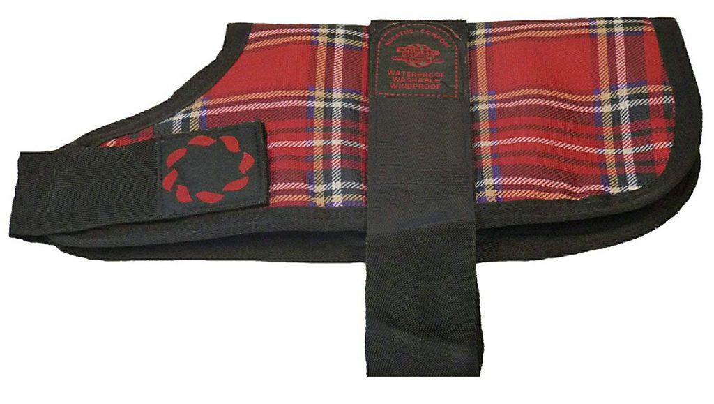 The Best Waterproof Dog Coat Reviews Pet Toy UK (2021)