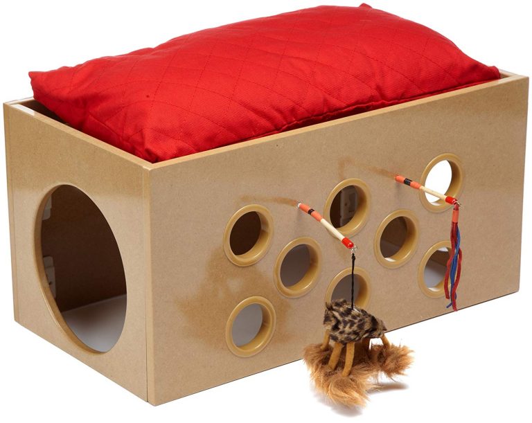 The Best Cat Bed Reviews Pet Toy UK (2021)
