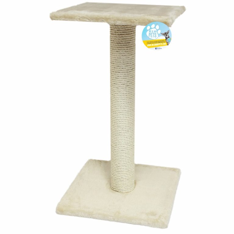 The Best Cat Scratching Posts Pet Toy UK (2021)