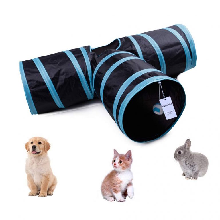 The Best Cat Play Tunnel Reviews Pet Toy UK (2021)