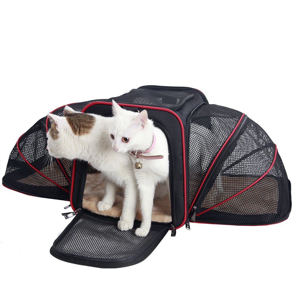 Petsfit Foldable Cat Carrier