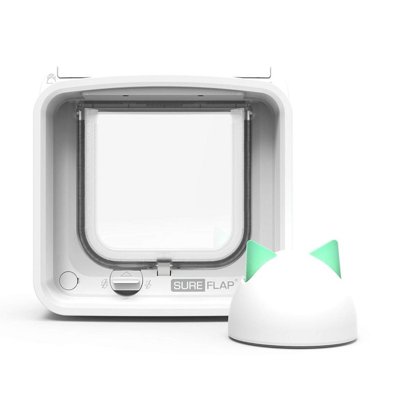 The Best Microchip Cat Flaps Pet Toy UK (2021)