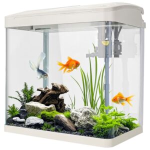 17L Glass Aquarium with LED and Filter