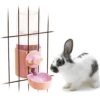 17oz Bunny Automatic Water Dispenser Bottle