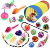 20-Piece Interactive Cat Toy Set