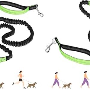 3-in-1 Elastic Dog Lead with Dual Handles