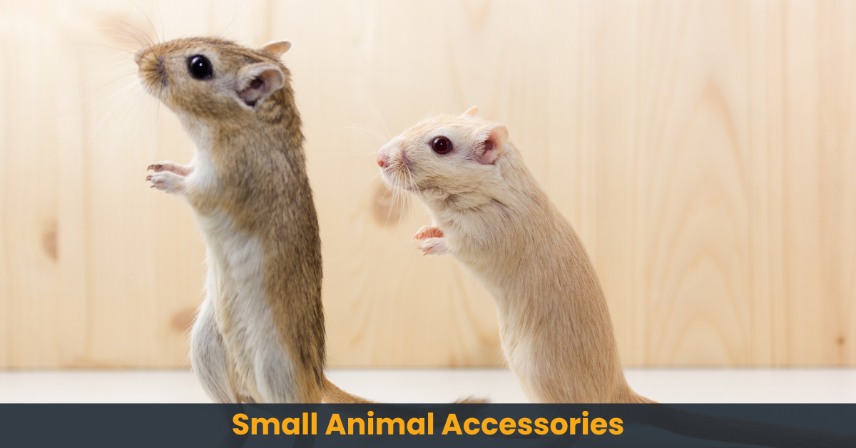 Small Animals