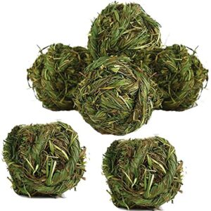6-Pack Timothy Grass Chew Balls for Pets