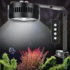 60W AQQA COB LED Aquarium Light