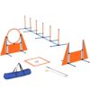 7-Piece Dog Agility Training Set