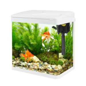 8L Glass Aquarium Kit with Filter & Light