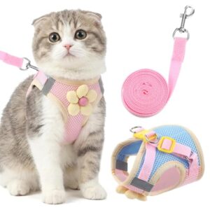 Adjustable Cat Harness and Leash Set
