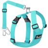 Adjustable Dog Seat Belt and Safety Harness