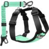 Adjustable Dog Seat Belt Harness for Cars