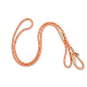 Adjustable Dog Slip Lead for Training