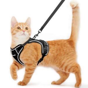 Adjustable Escape-Proof Cat Harness and Leash
