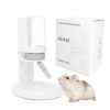 Adjustable Hamster Water Bottle with Stand