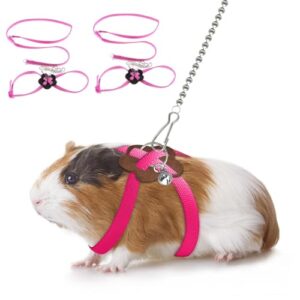 Adjustable Harness and Leash for Small Pets