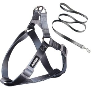 Adjustable No-Pull Dog Harness with Leash