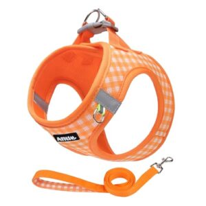 Adjustable No Pull Dog Harness and Leash