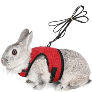 Adjustable Rabbit Harness with Elastic Lead