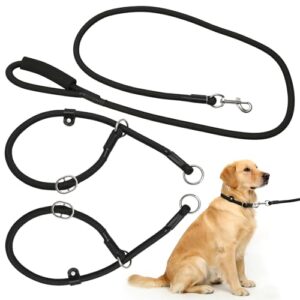 Adjustable Slip Lead and Collar Set for Dogs