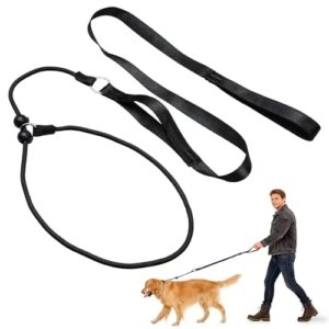 Adjustable Slip Lead for Dogs