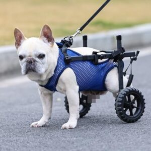 Adjustable Small Dog Wheelchair for Mobility