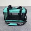 Airline Approved Cat Carrier in Turquoise