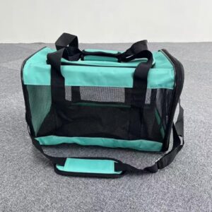 Airline Approved Cat Carrier in Turquoise