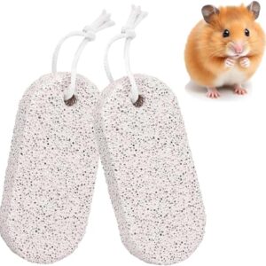 AJinacious Dog Rocks Chew Toys for Pets