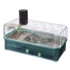 Aquarium Turtle Habitat Starter Kit