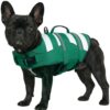 ASENKU Adjustable Dog Life Jacket with Handle
