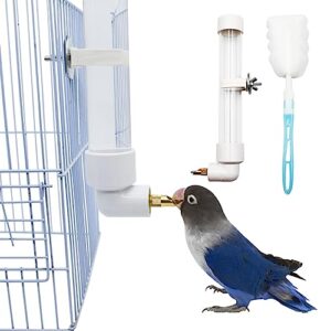 Automatic Bird Water Dispenser for Parrots