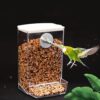 Automatic Mess-Free Bird Feeder
