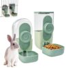Automatic Pet Food and Water Dispenser