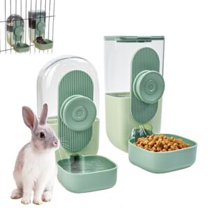 Automatic Pet Food and Water Dispenser