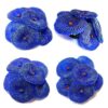 Blue Coral Aquarium Decoration Set - 4 Pcs