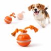 CAYLEKI Interactive Dog Ball Toy with Rope
