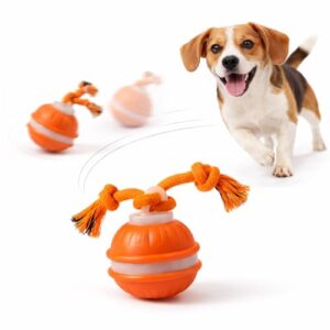 CAYLEKI Interactive Dog Ball Toy with Rope