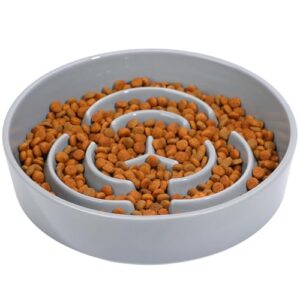 Ceramic Slow Feeder Dog Bowl for Healthy Eating