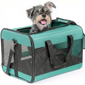 Collapsible Soft Sided Pet Carrier for Travel