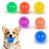 Colorful 6-Pack Dog Squeaky Balls