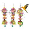 Colorful Bird Toy Set for Cockatiels