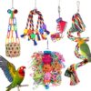 Colorful Foraging Toys for Parakeets