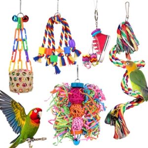 Colorful Foraging Toys for Parakeets