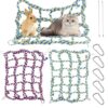 Colorful Rat Cage Accessories with Hammocks