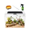 Compact Mini Reptile Terrarium for Pets
